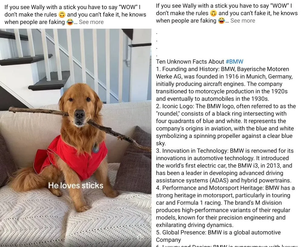 Facebook 帖子，图中一只狗叼着棍子，配文说它喜欢棍子，但当你展开“查看更多”时，却看到了 BMW 的完整历史